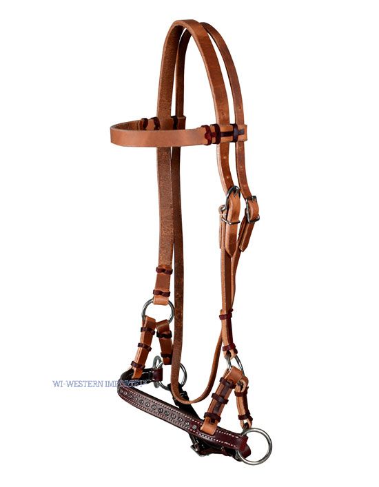 WESTERN IMPORTS® Sidepull with Dots