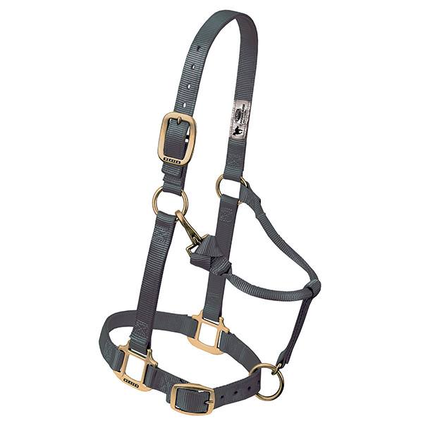 Weaver Original Halfter -nach Wunsch-