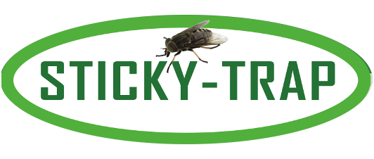 Sticky Trap