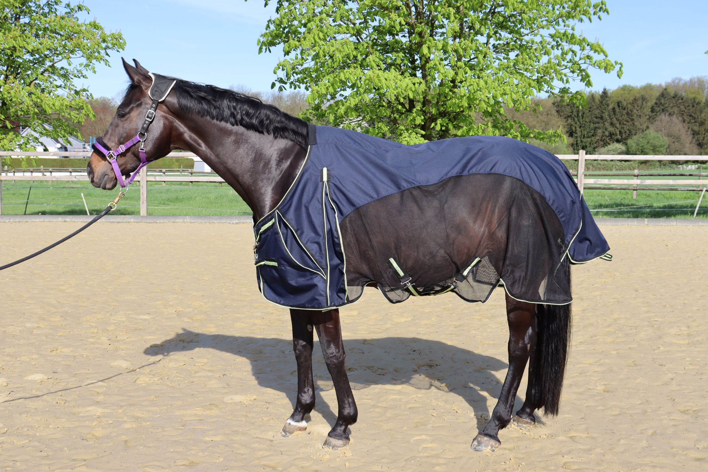 QUITTPAD® Regen-Fliegendecke "Spring Rain"