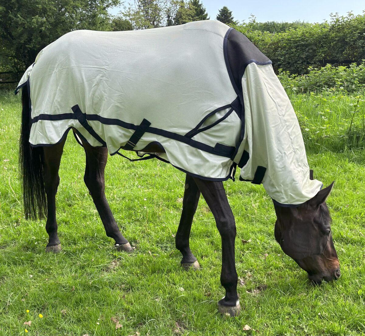 QUITTPAD® Fliegendecke