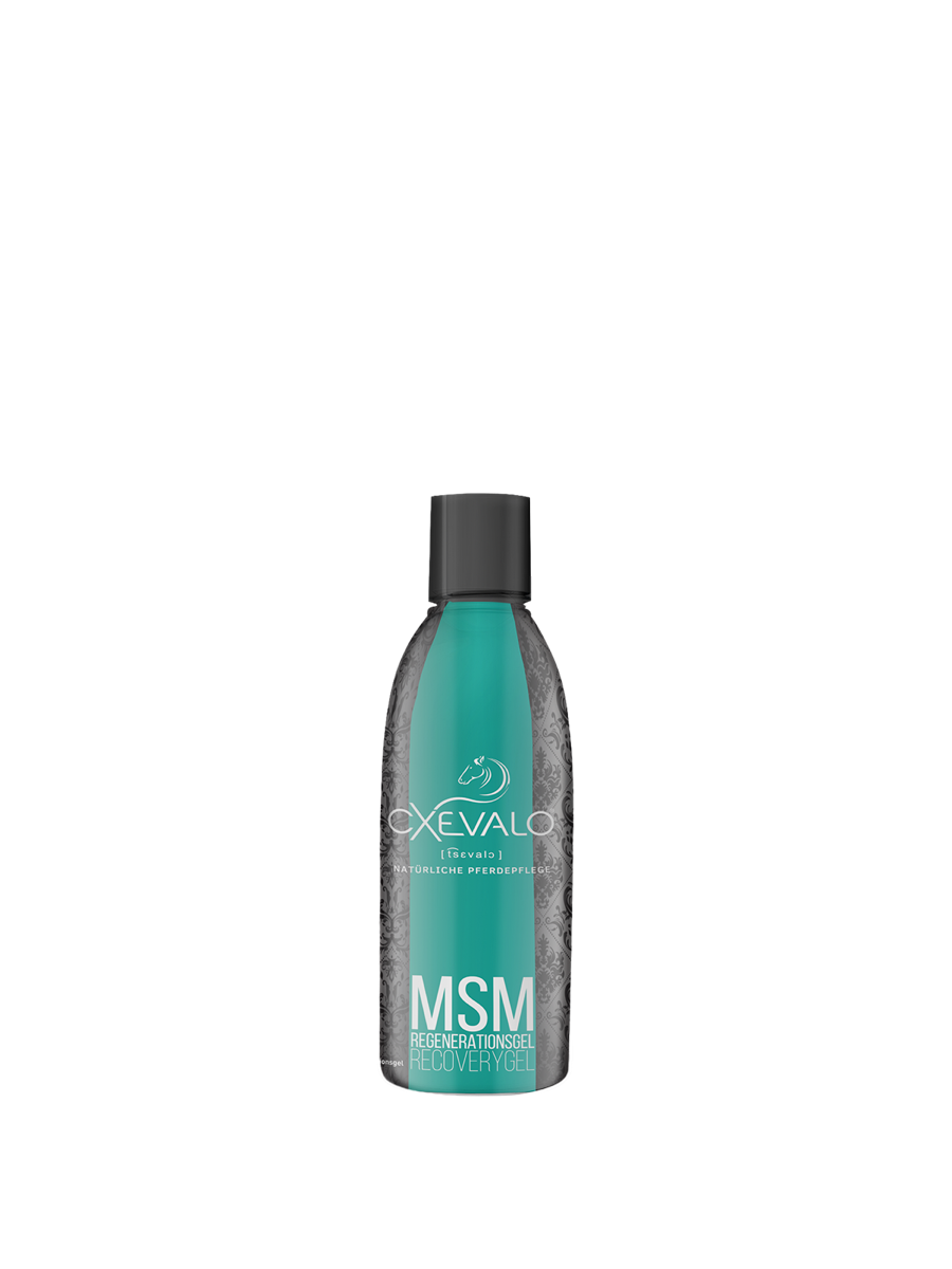 CXEVALO MSM Regenerationsgel