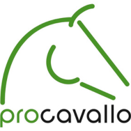 procavallo