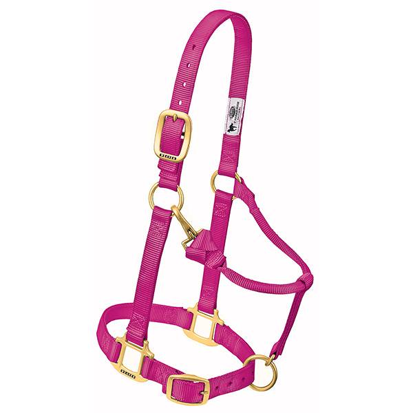 Weaver Original Halfter -nach Wunsch-