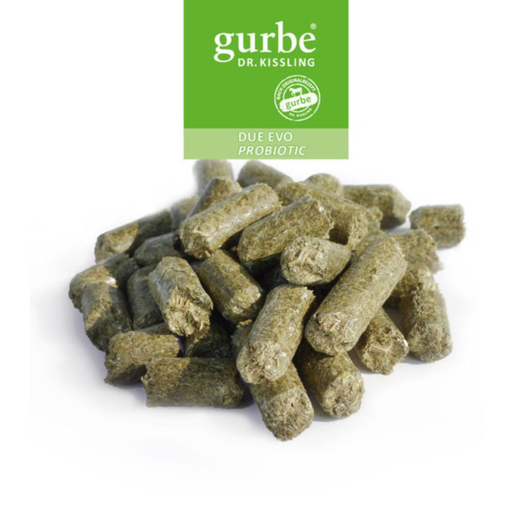 due evo probiotic