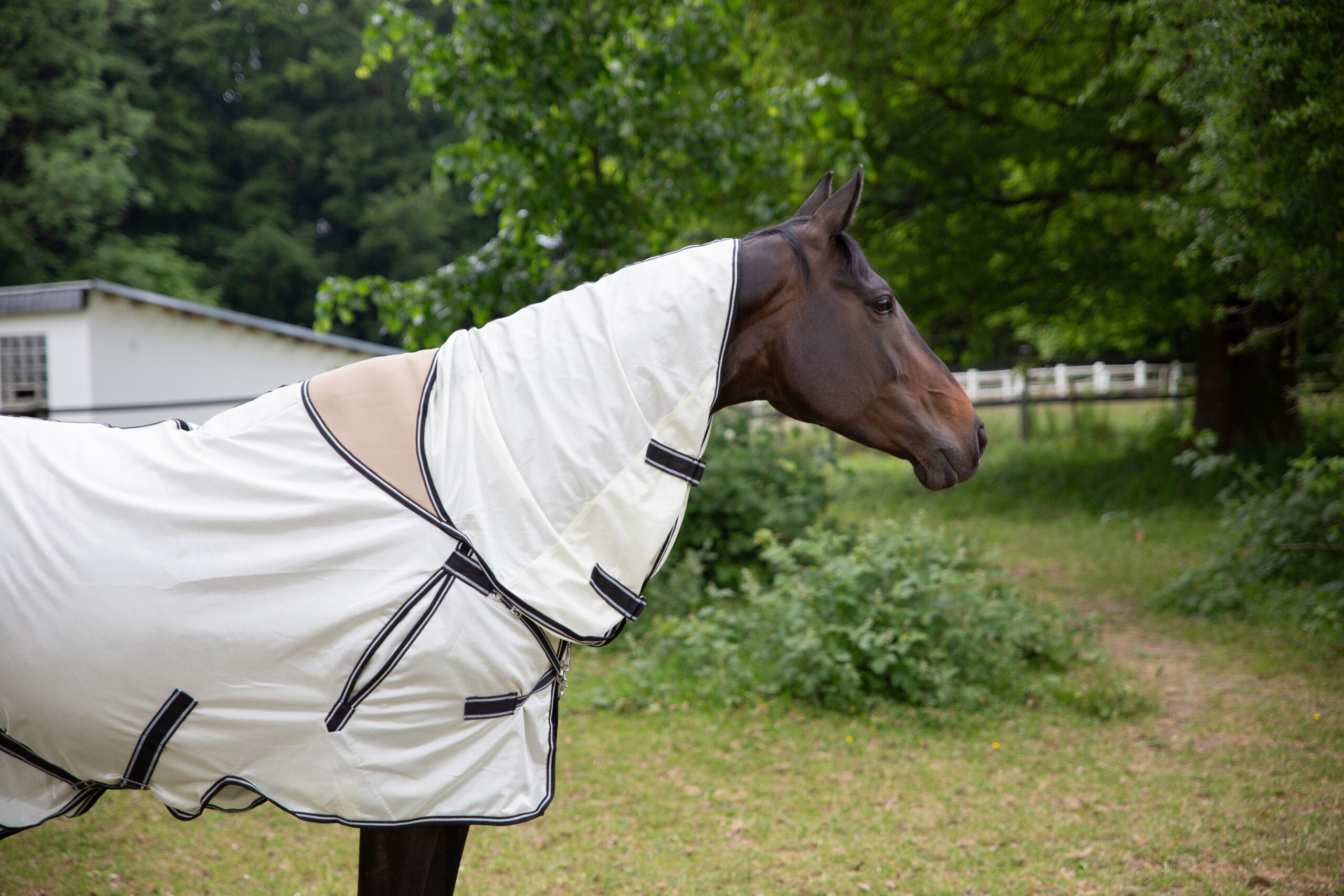 QUITTPAD® Fliegendecke