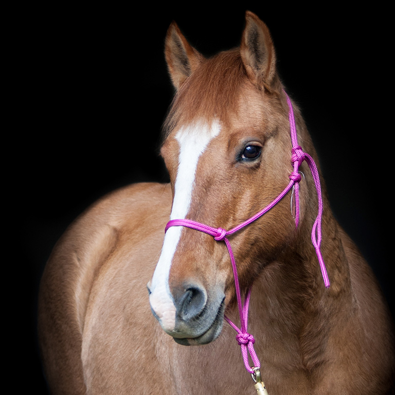 magenta