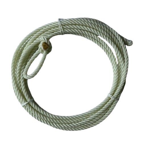 Lasso