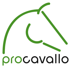 procavallo Onlineshop